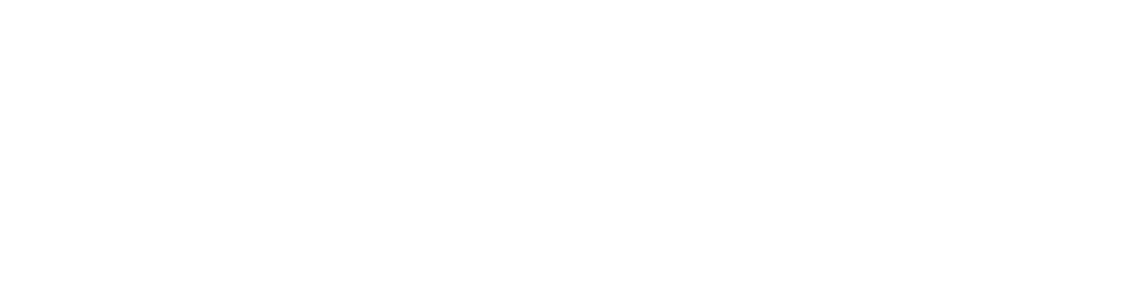Holmusk