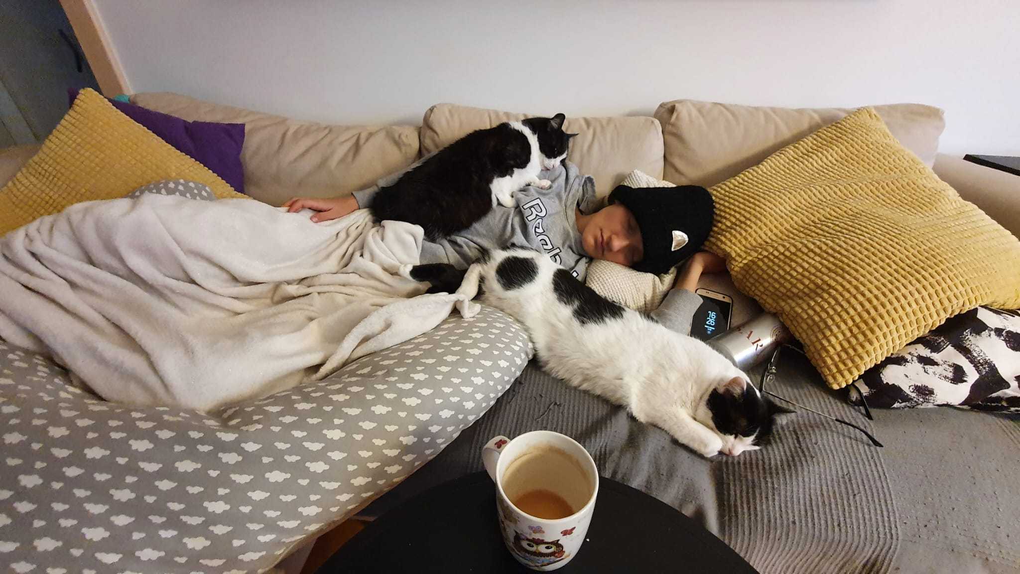 Ana and her cats