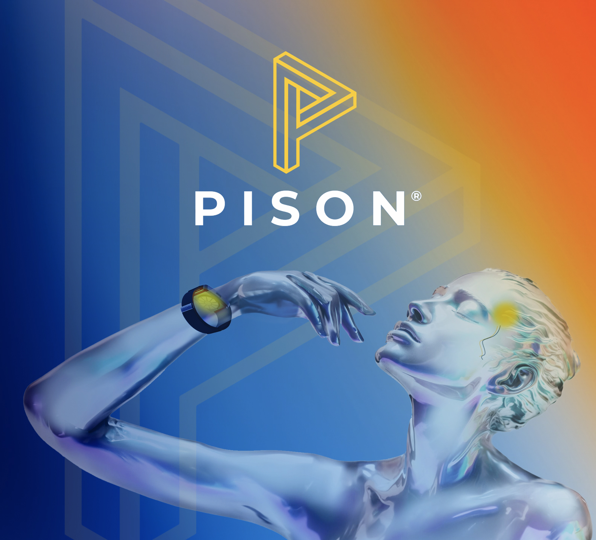 "Pison Case Study"